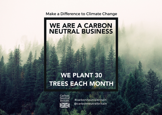 Creating a Carbon Neutral Business